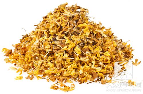 桂花樹結果能吃嗎？解析桂花籽的用途與價值