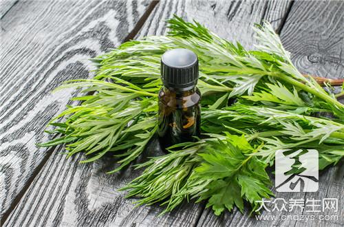 茼蒿菜食用禁忌與注意事項