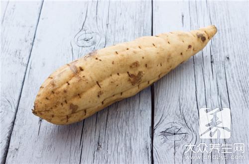 地瓜和豆漿能一起吃嗎?食物禁忌必看