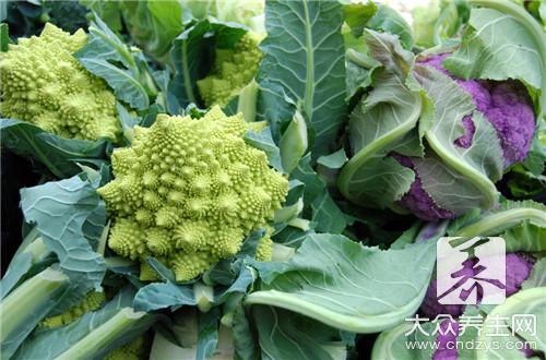 西蘭花變黃了還能吃嗎？新鮮度與營養的關係