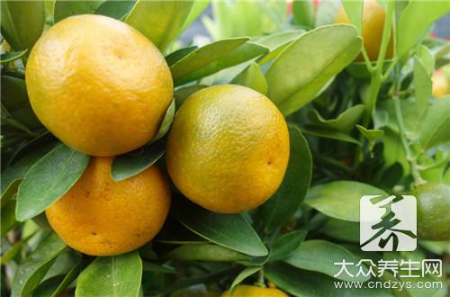 哪些人不宜食用金橘？金橘的副作用與禁忌