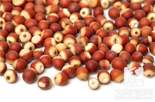 哪些人不宜食用芡實？掌握正確食用方法與禁忌