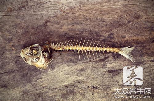 哪些人不宜食用魚骨？魚骨的副作用與禁忌解析