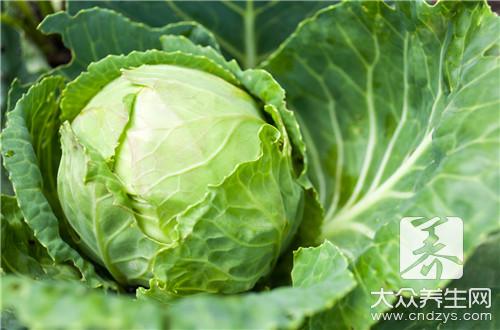 哪些人不宜食用菜心?菜心食用禁忌與副作用解析