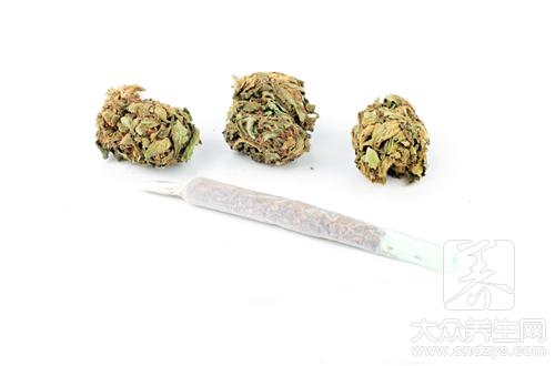 槐花食用禁忌：哪些人不宜食用槐花？