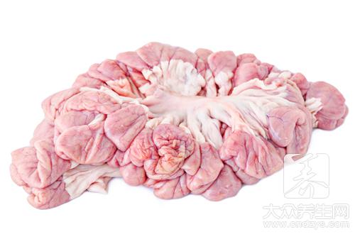 哪些人不宜食用豬大腸?豬大腸的食用禁忌與潛在影響