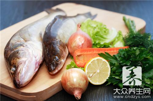 哪些人不宜食用梭魚?梭魚的食用禁忌與副作用