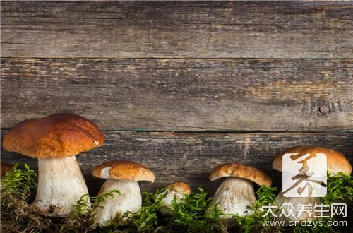 哪些人不宜食用口蘑？口蘑的食用禁忌與副作用