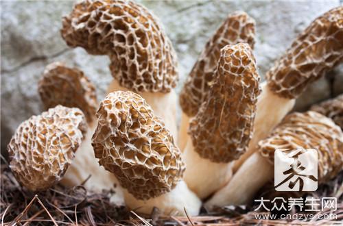 哪些人不宜食用羊肚菌?羊肚菌的食用禁忌与副作用解析