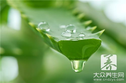 哪些人不宜食用蘆荟汁？蘆荟汁的副作用與禁忌解析
