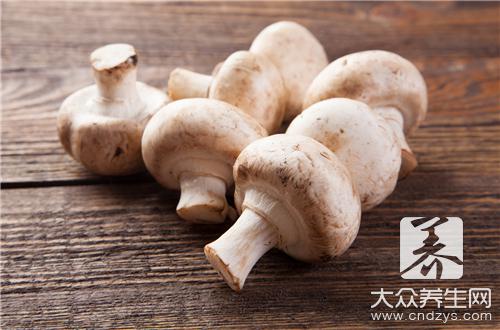 哪些人不宜食用平菇？平菇的食用禁忌與副作用