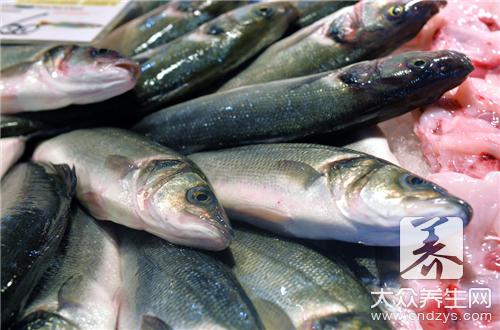 哪些人不宜食用銀魚？銀魚的副作用及禁忌解析