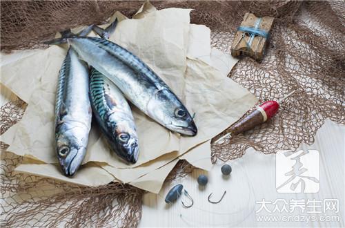哪些人不宜食用鯖魚？鯖魚的副作用與禁忌
