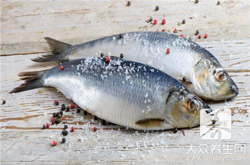 哪些人不宜食用青魚？青魚的副作用與禁忌