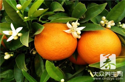 哪些人不宜食用橘子？橘子副作用與禁忌人群
