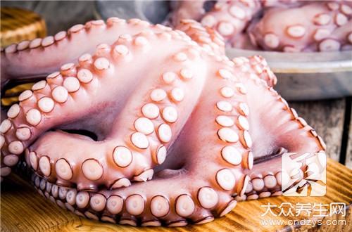 哪些人不宜食用章魚？章魚的食用禁忌與副作用
