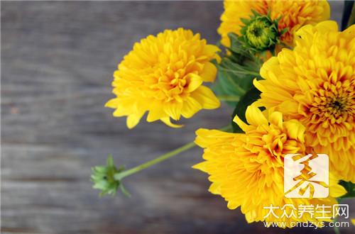哪些人不宜食用菊花？菊花的副作用與禁忌