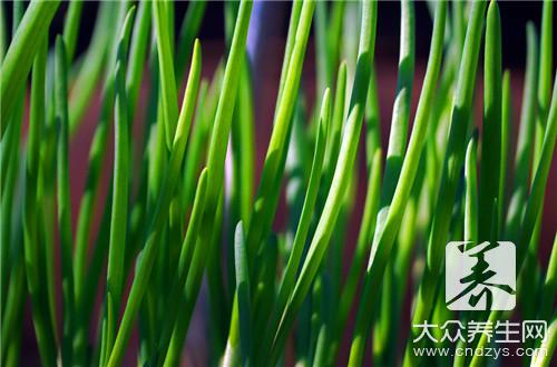減少農藥攝取：注意這幾種高殘留蔬菜