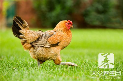 食物營養誤區破解:貴的不一定好,這些錯誤你信過嗎?