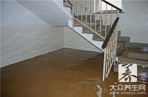 紅棗泡水喝能養肝排毒嗎?正確冲泡方法與注意事項