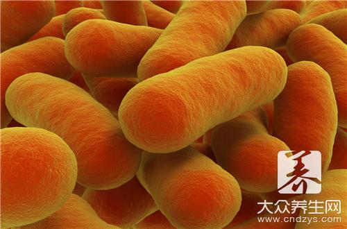 胃窦炎飲食禁忌：哪些食物該吃哪些該避免？