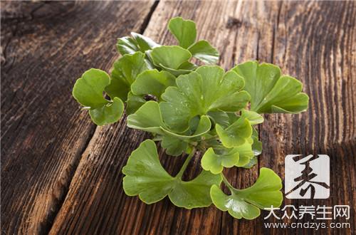 銀杏食用注意事項:避免中毒的正確方法