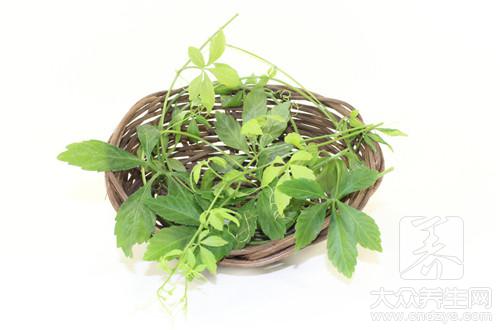 絞股藍泡水喝的禁忌與正確泡法指南