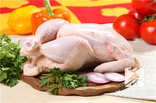 雞肉不能和什麼一起吃?食物相克與食用注意事項