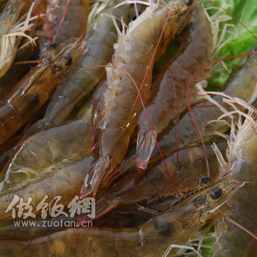 椎弓結核飲食輔助:推薦食材與注意事項