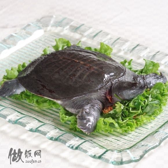 食管壁内憩室饮食建议：推荐食材与注意事项
