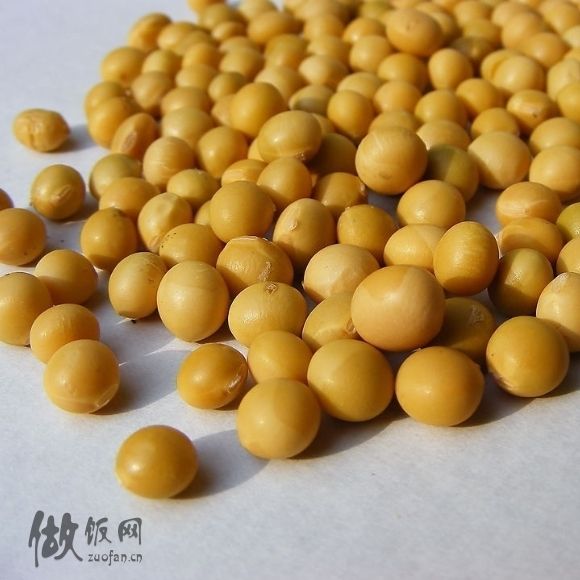 皮膚白細胞破碎性血管炎飲食建議：優選食材與輔助治療