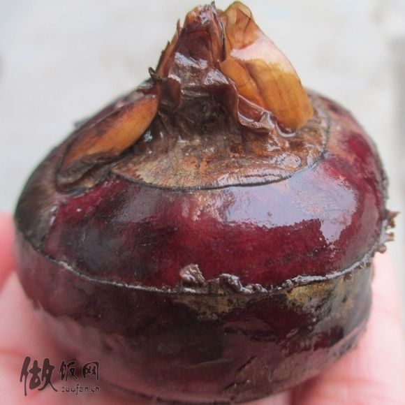 得了牛痘样水疱病吃什么食物好?