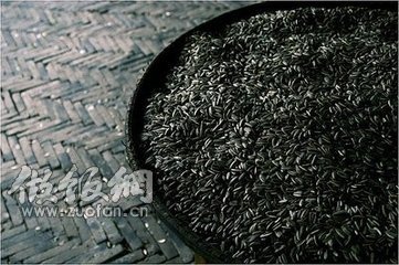 電子產品輻射大,這些食物幫您解決困擾