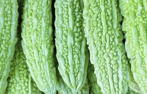 兒童吃苦味菜促造血、增食欲 推薦幾款常見苦味菜