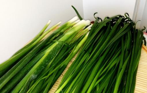 大蔥、韭菜、洋蔥—天然壯陽食材推薦