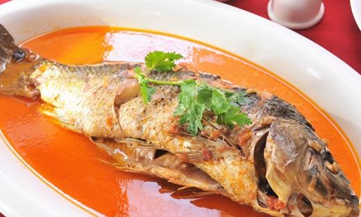 六經期食療方：補氣養血護健康