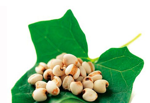 薏米最養人：美白去皺的薏米食譜與功效
