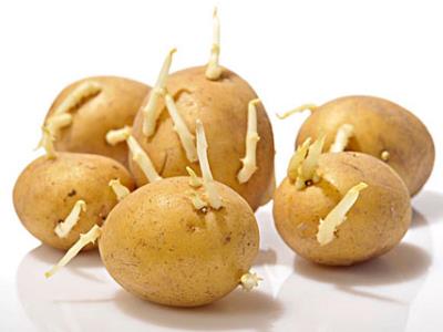 食物不能食用的部位?吃什么会食物中毒及饮食禁忌