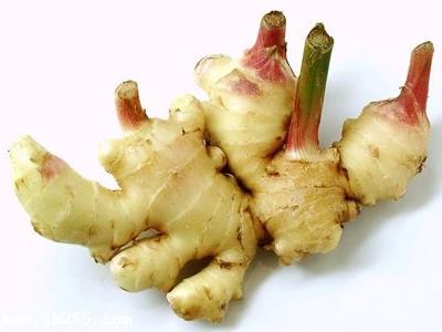 生姜發芽了還能吃嗎？發芽生姜的食用安全性與保存方法