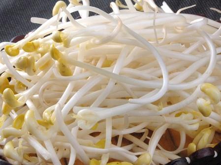 如何識別化學豆芽?化學豆芽怎麼鑒別