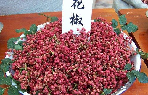 毒花椒的鑒別方法：如何識別有毒花椒