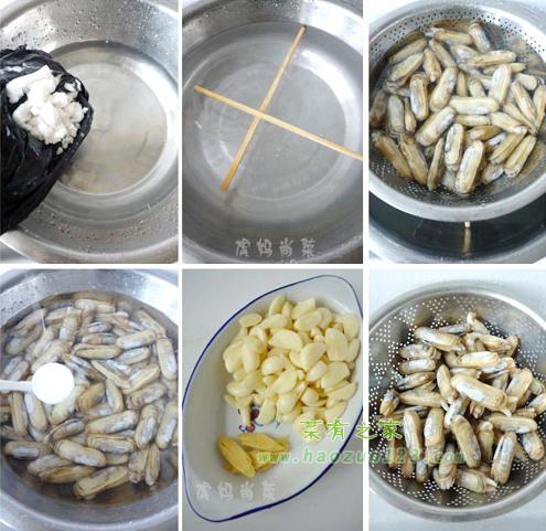 如何讓蛏子吐沙?蛏子清洗與烹飪指南