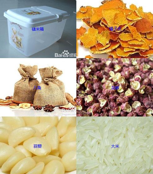 如何防止大米生蟲?實用防蟲方法與注意事項