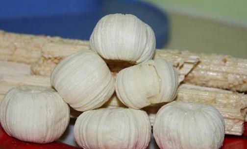 南方过小年吃什么?传统灶糖与特色美食全解析