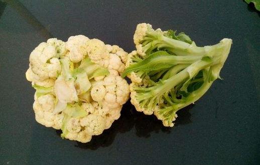 菜花能抗癌怎麼吃？正確食用方法與功效全解析