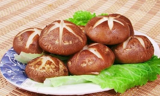 多款香菇健康食谱与营养烹饪法
