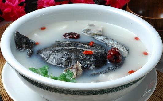 甲魚提升免疫力:3款家常食譜與功效介紹