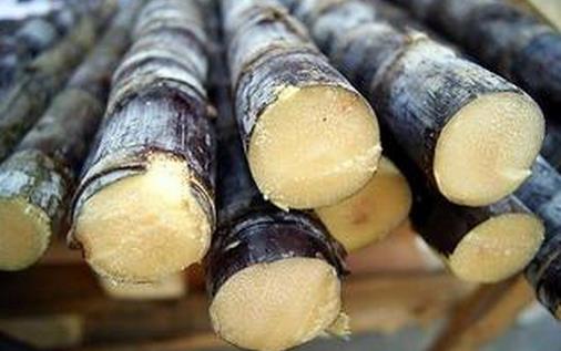 滋陰祛燥:6款美食助你降火補虛