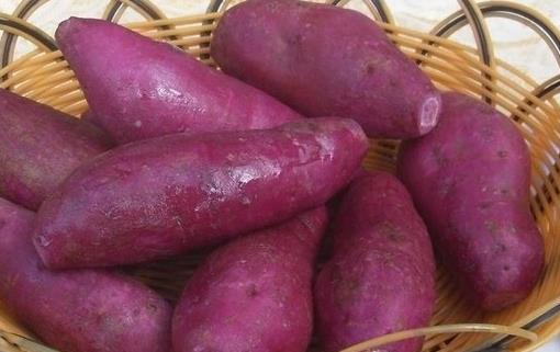 中醫食療調理脾虛:原則、食材與注意事項