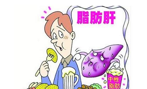脂肪肝飲食治療法：原則與建議